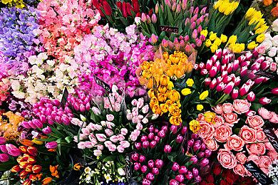 《暗黑破坏神4》硬核模式与PVP将有永久死亡惩罚