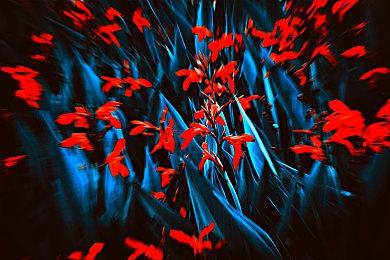 《塞尔达传说：王国之泪》快速道具复制BUG被发现